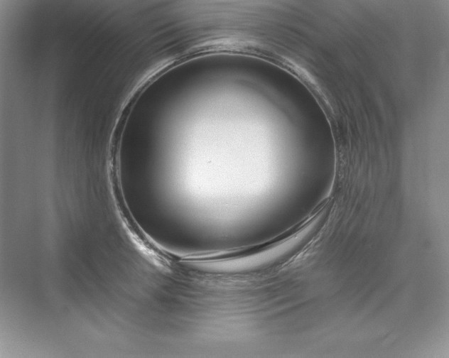 X0000075411042200609251039
