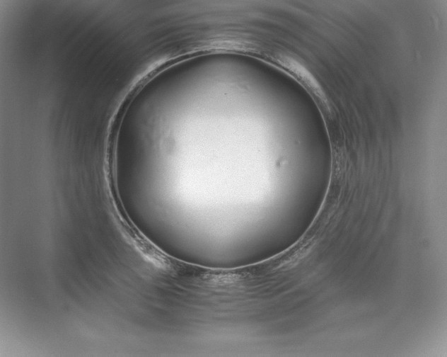 X0000075411043200609251039