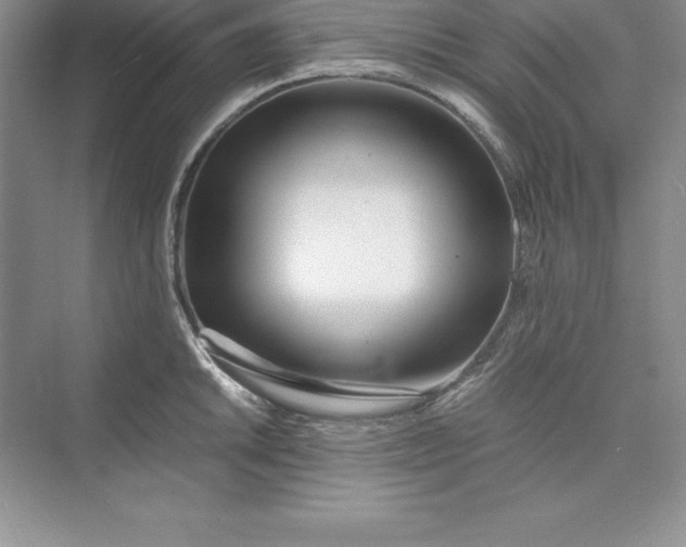 X0000075411046200609251039