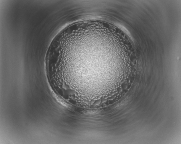 X0000075411047200609251039