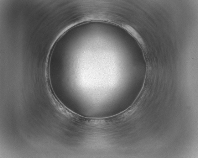 X0000075411052200609251039
