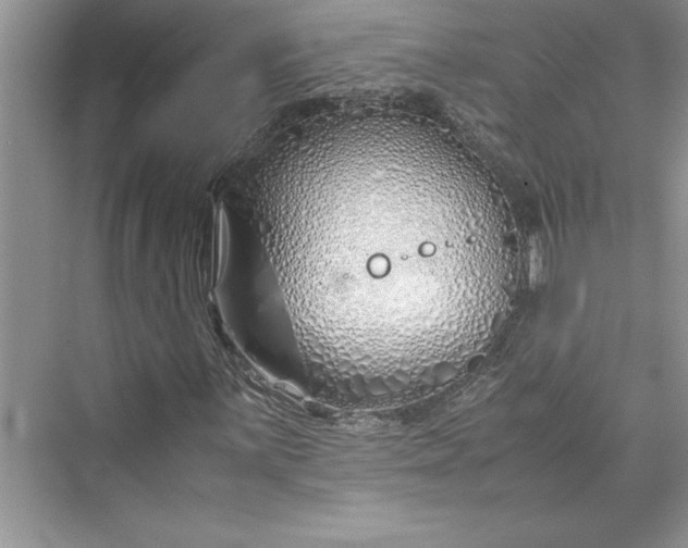 X0000075411059200609251038