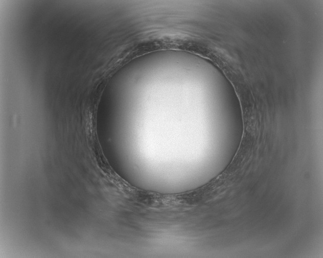 X0000075411061200609251038