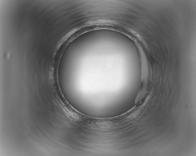 X0000075411066200609251038