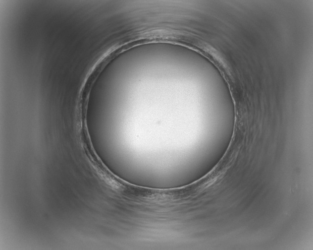 X0000075411075200609251038