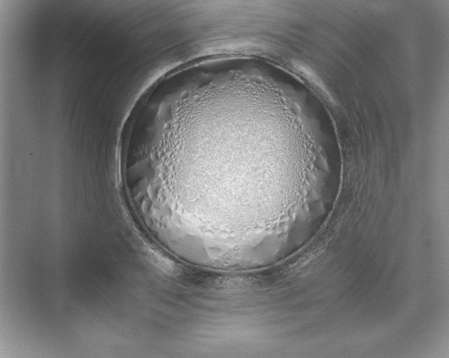 X0000075411079200609251038