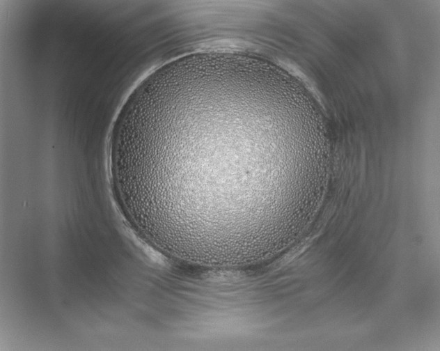 X0000075411083200609251038
