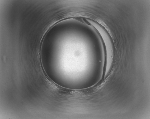 X0000075411089200609251038