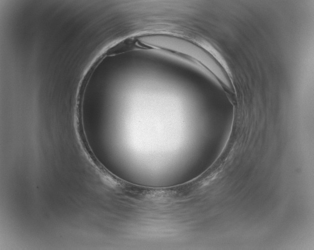 X0000075411093200609251038