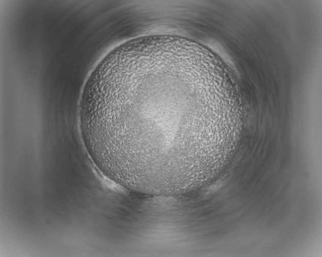 X0000075411094200609251038