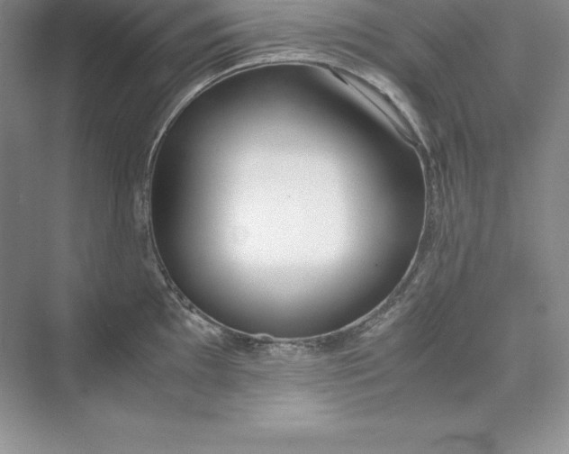 X0000075411097200609251038