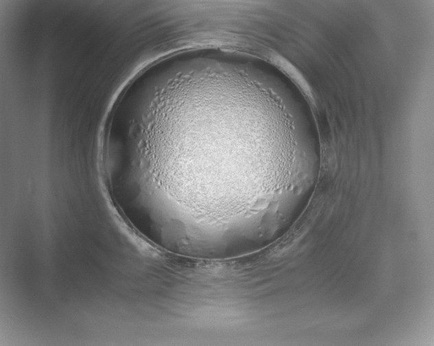 X0000075411099200609251038