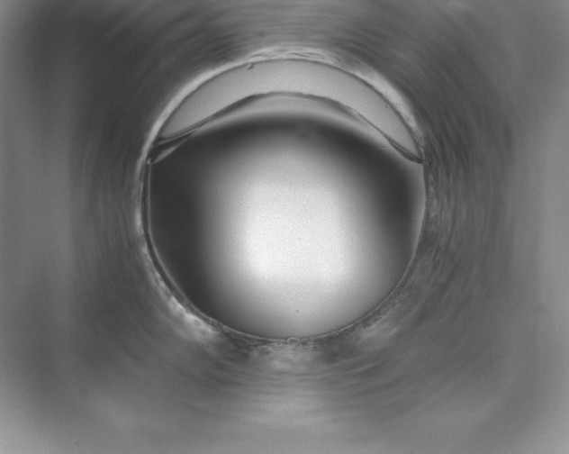 X0000075411102200609251038