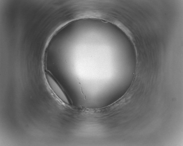 X0000075411104200609251038
