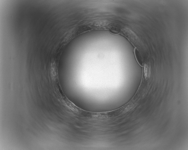 X0000075411107200609251037