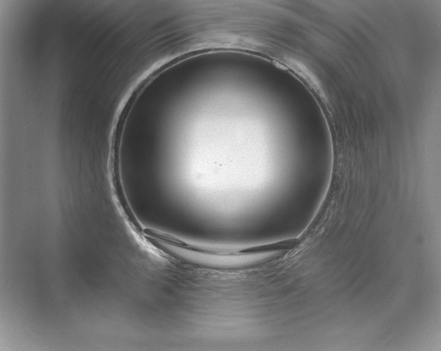 X0000075411136200609251037