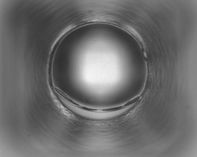 X0000075411138200609251037