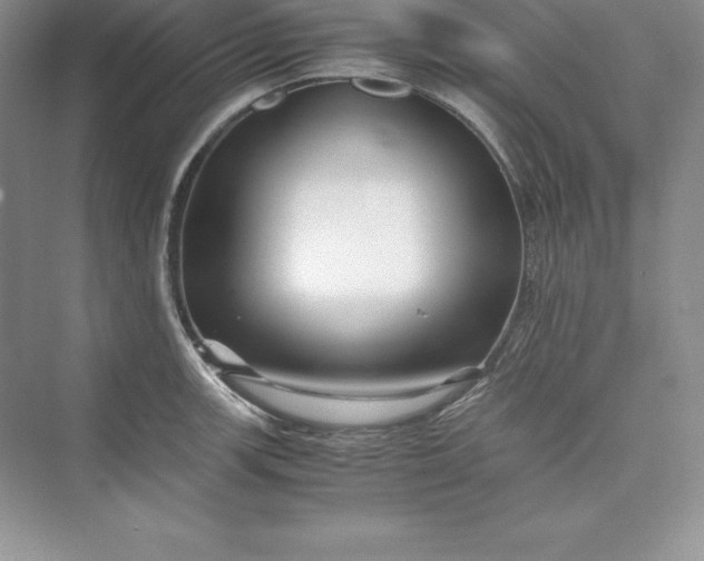 X0000075411139200609251037