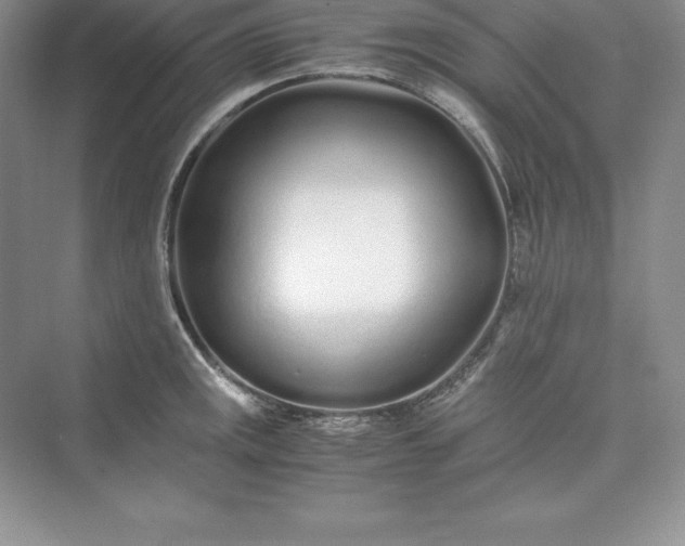 X0000075411141200609251037