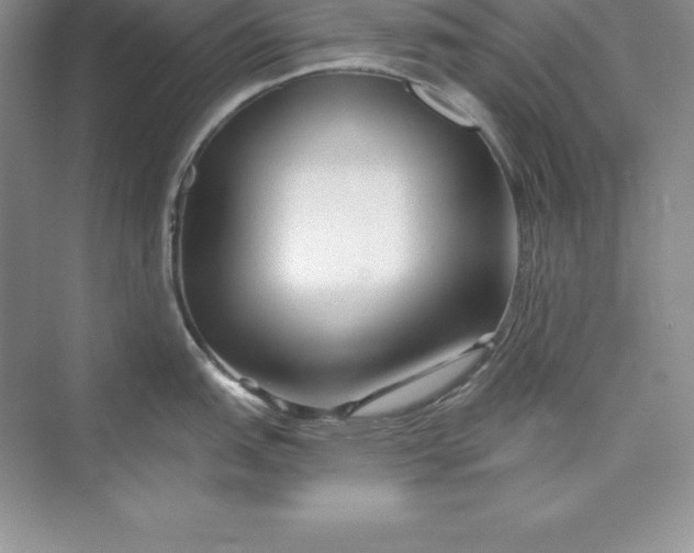 X0000075411151200609251038