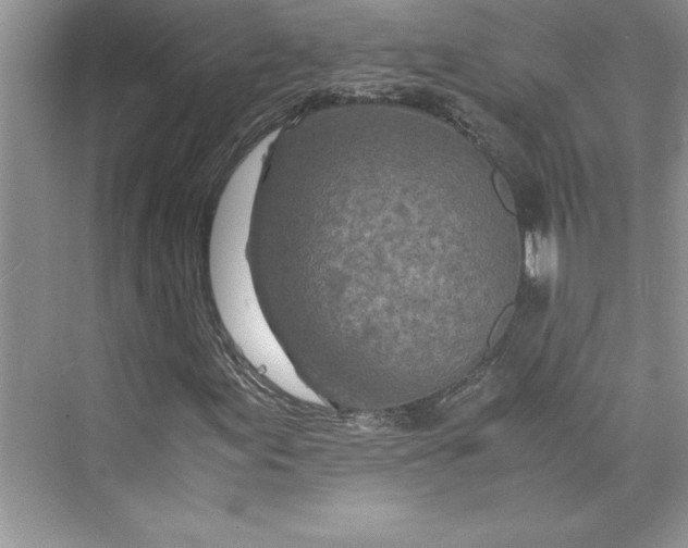 X0000075411155200609251037