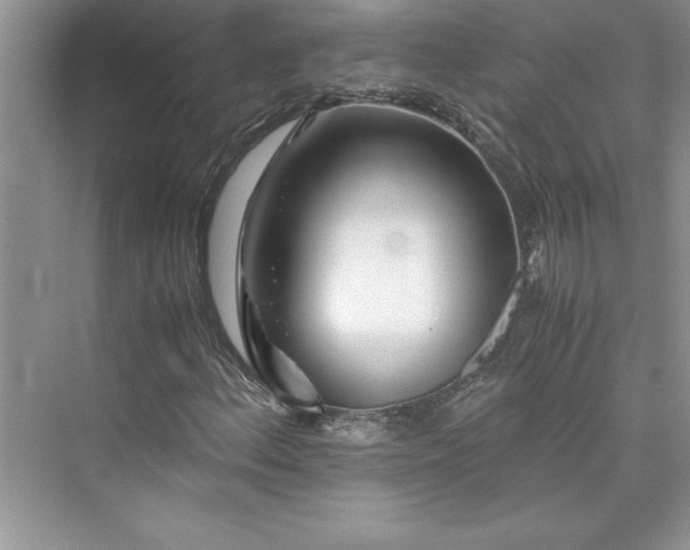 X0000075411156200609251037