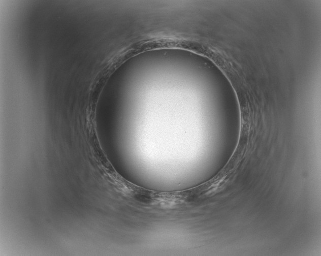 X0000075411157200609251037