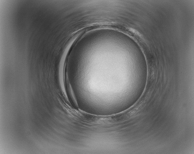 X0000075411161200609251037