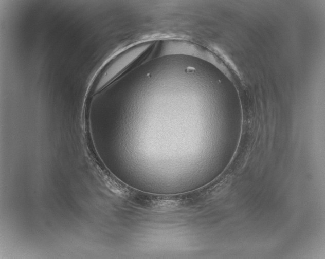 X0000075411173200609251036
