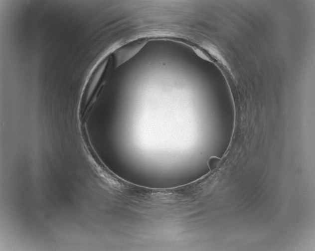 X0000075411181200609251036
