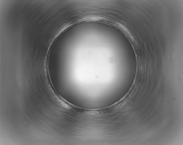 X0000075411186200609251036