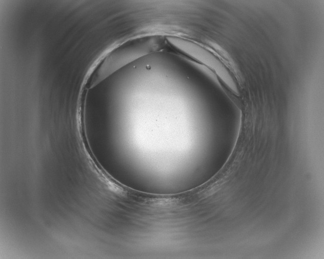 X0000075411188200609251036