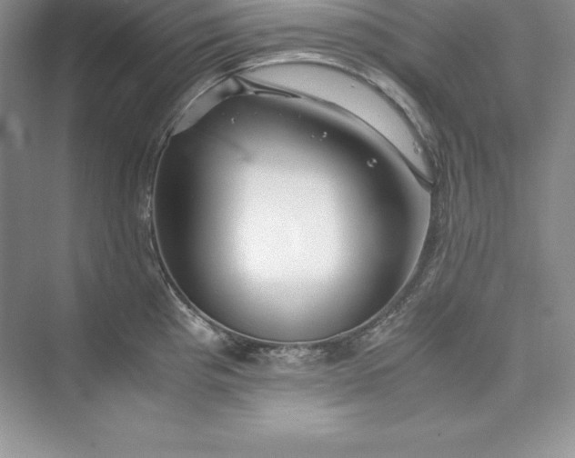 X0000075411193200609251036