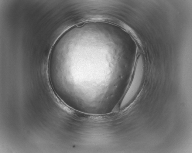 X0000075411194200609251036