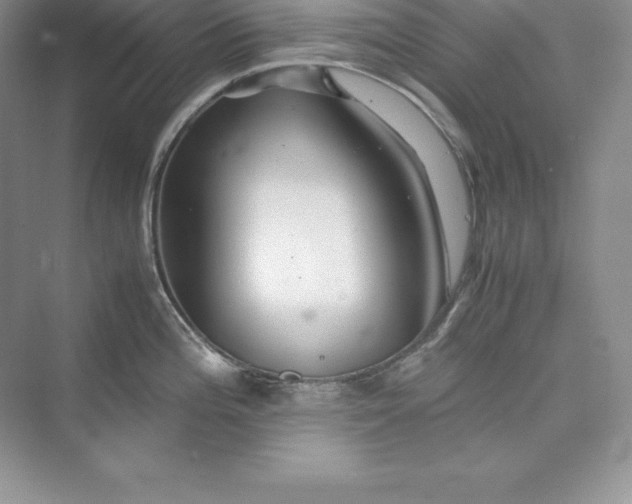 X0000075411196200609251036