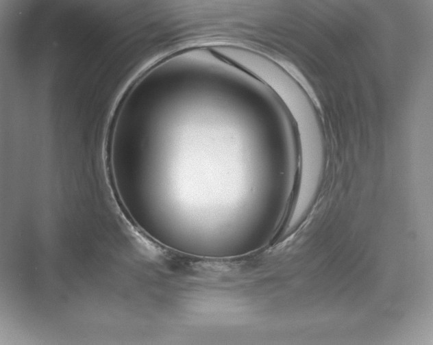 X0000075411197200609251036