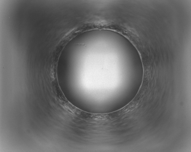 X0000075411205200609251035