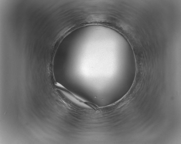 X0000075411217200609251035