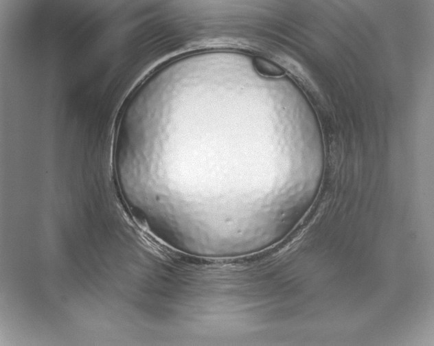 X0000075411228200609251036