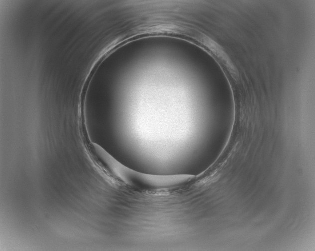 X0000075411234200609251036