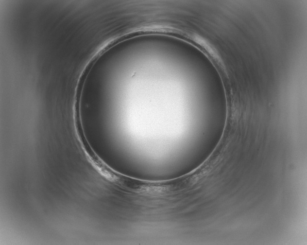 X0000075411237200609251036