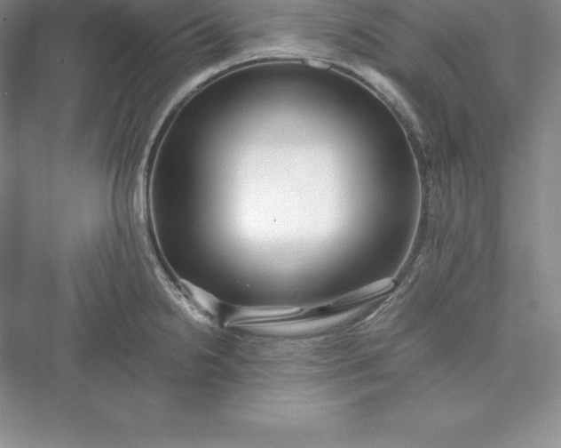 X0000075411238200609251036