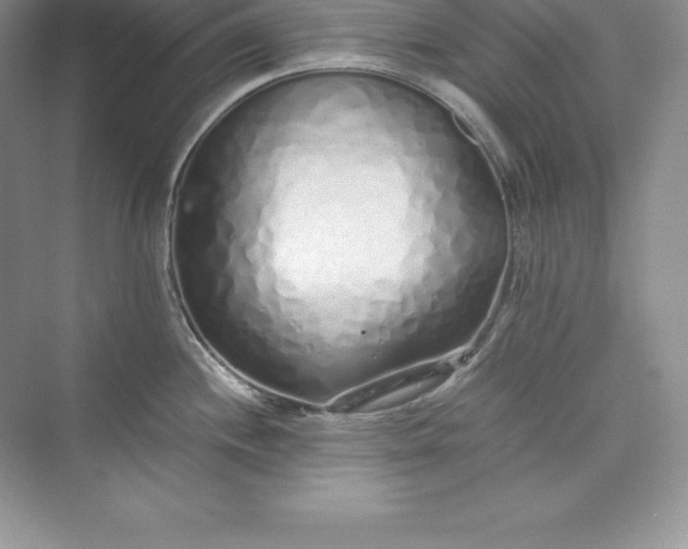 X0000075411244200609251036