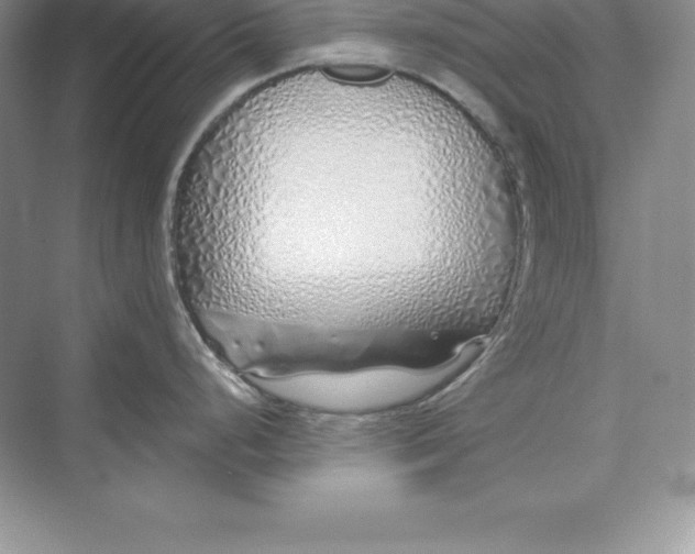 X0000075411248200609251036