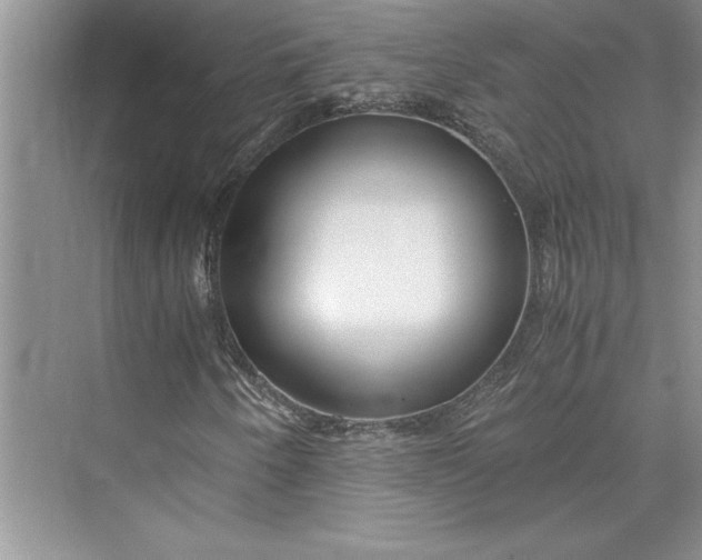 X0000075411250200609251035