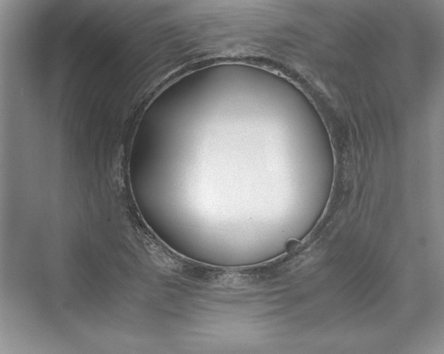 X0000075411265200609251035