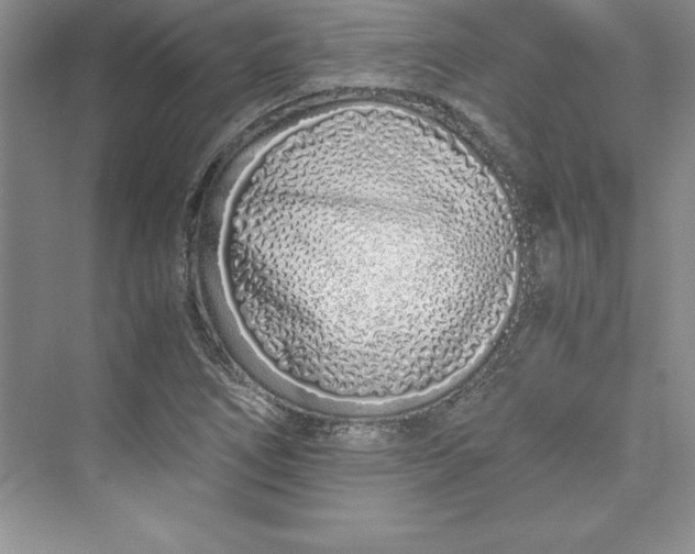 X0000075411266200609251035