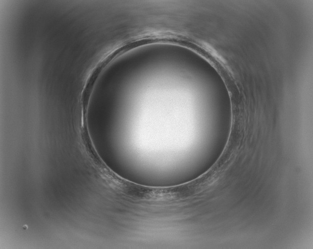X0000075411269200609251035