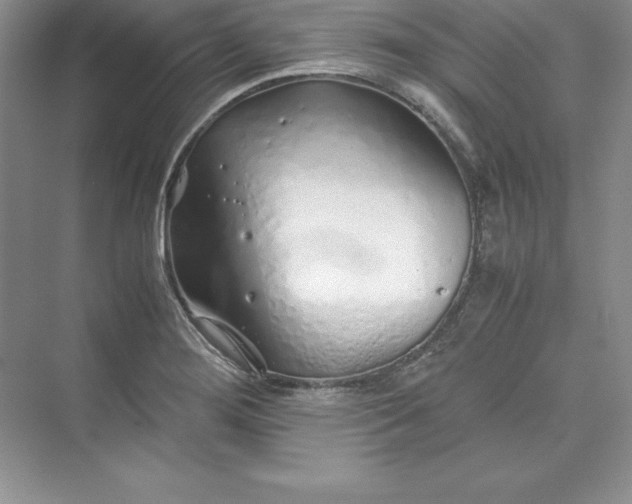 X0000075411276200609251035