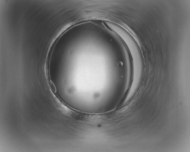 X0000075411293200609251034
